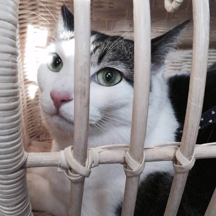 681da5e7 7a47 454c acaf d71dae1582c9