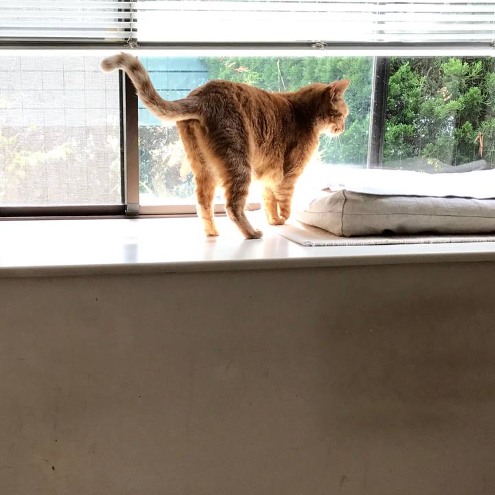 681dbbb3 f7cd 4da2 9941 235a4824c4c3