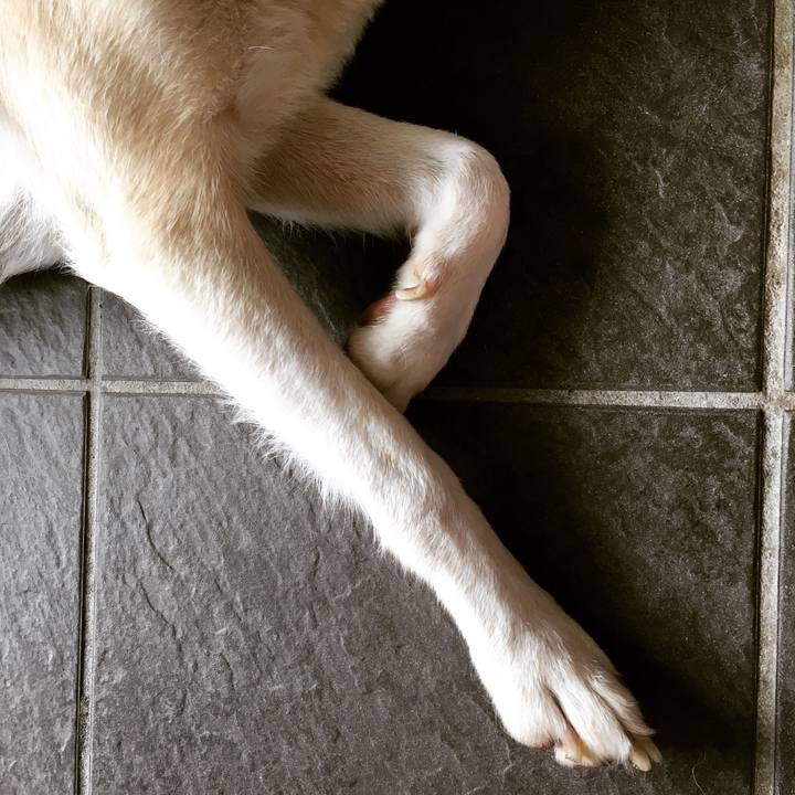 681f1b04 eacd 479f bc67 622eb6f2b35f