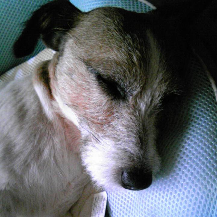 681f3700 cfce 4ccc b737 d0cdf003afc9