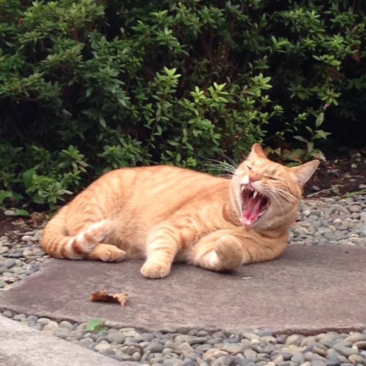 681f3f97 c86f 4ecb 84ba d629084fcec7