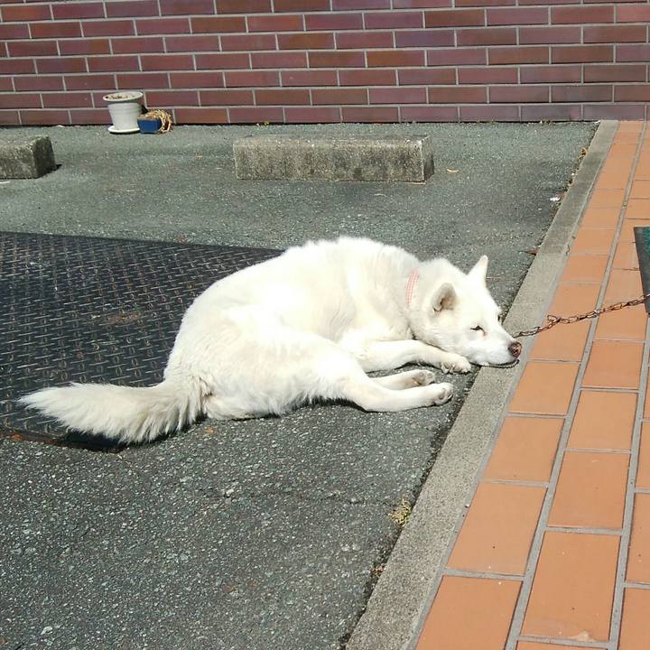 681ff307 0a68 4878 b5de 720911fa006d