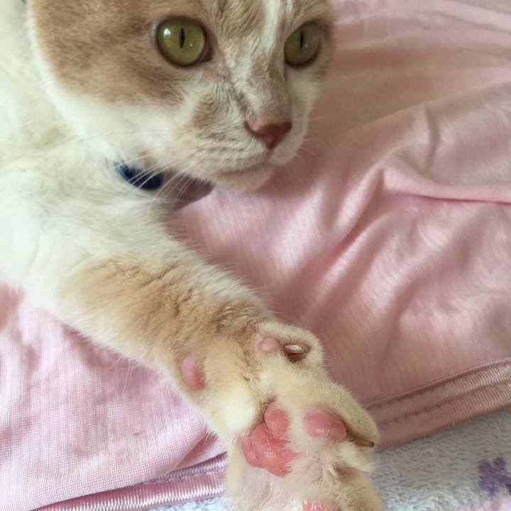 682000e6 7966 4c09 8992 4e0f4e84031d