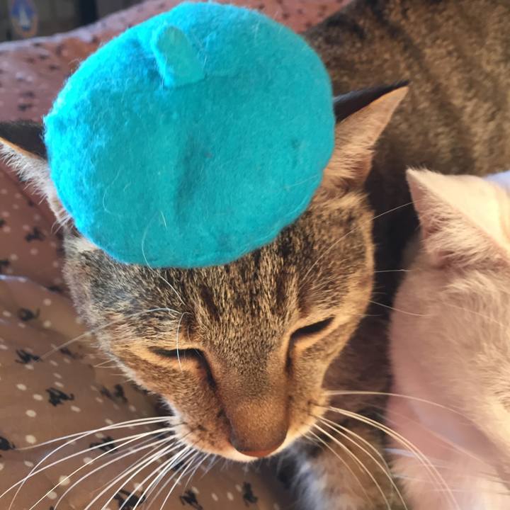 68229711 69b9 43b3 a9b2 f47f34159c4e