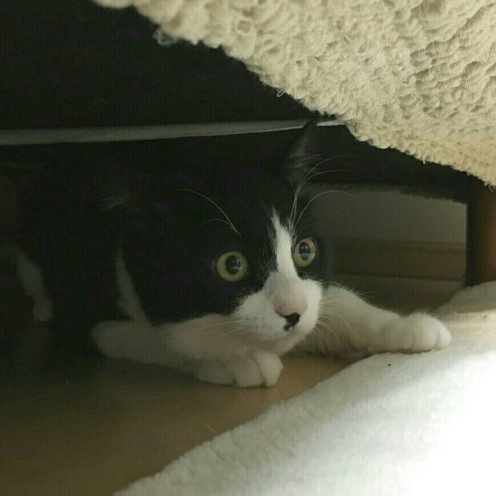 6822d299 3969 444a 8c38 ada5d2abb1de