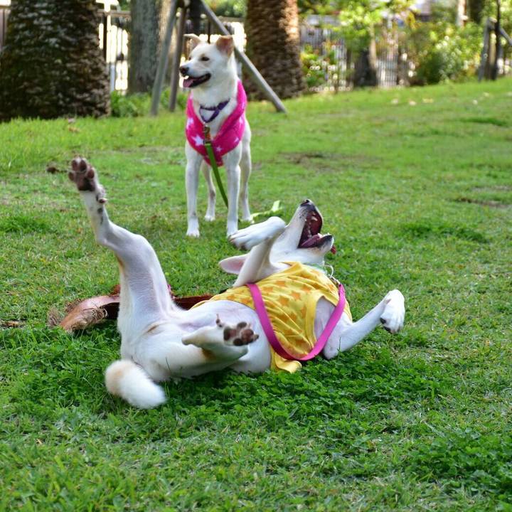 6822f582 c8db 49e5 8182 e83e057a8052