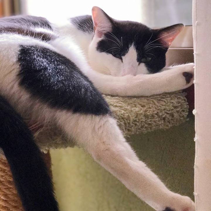 6823a088 fd4d 43c8 b6c6 39d1007e734c