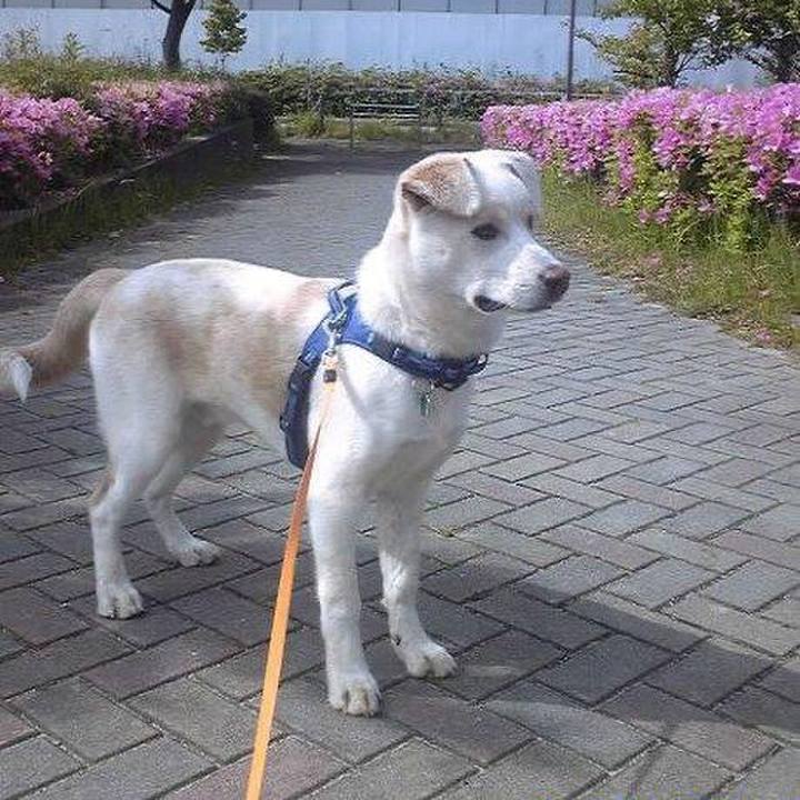 6823bc89 116b 4005 85c4 314f5ff7d1c4