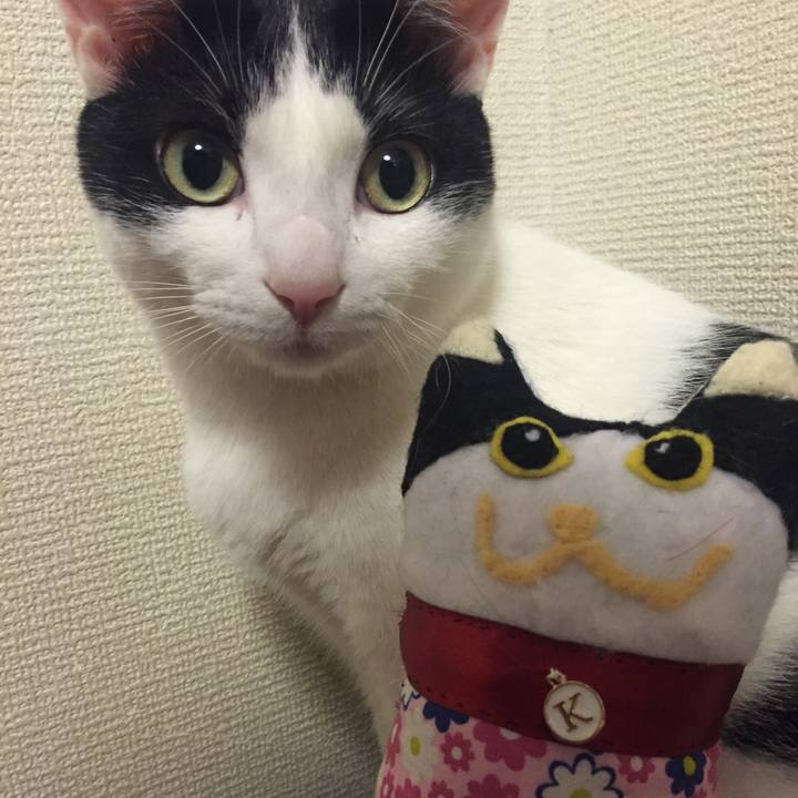 682482ca 3718 4612 9b4c 8189622162db