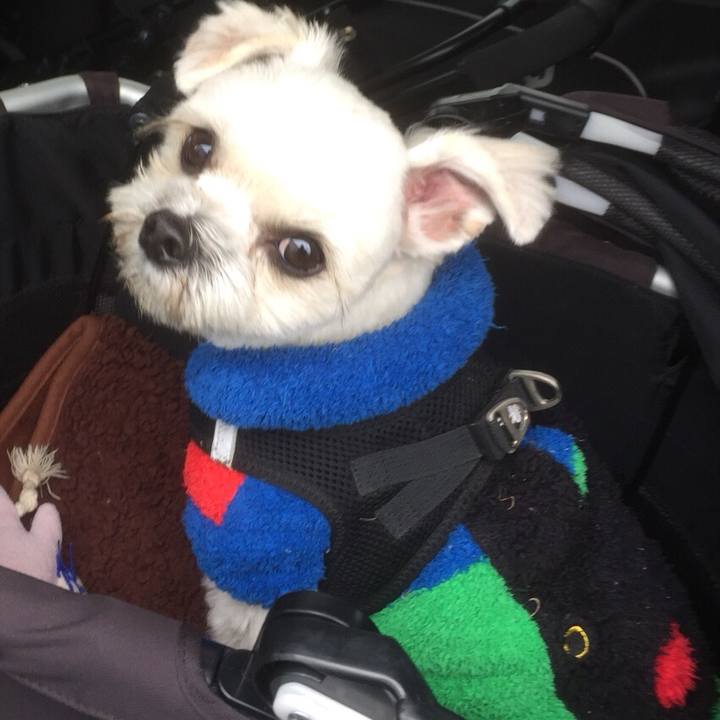 6824dee2 7bef 4900 8920 806b73b6d23f