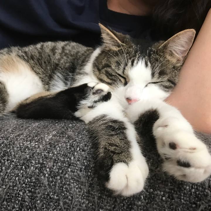 68252c6e 837c 47ce b516 cb3e86c3b9c6