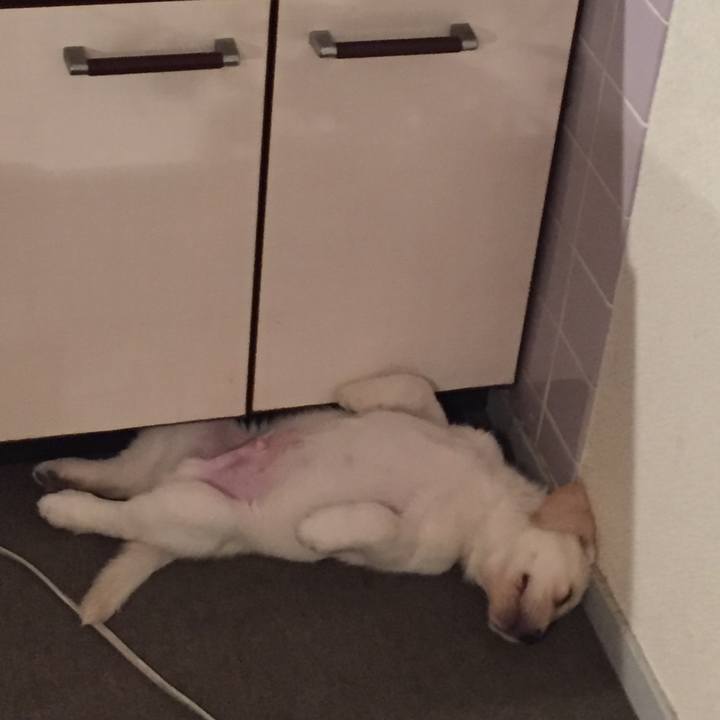 682593e6 b52f 4d44 8cb5 c3f54a32199b