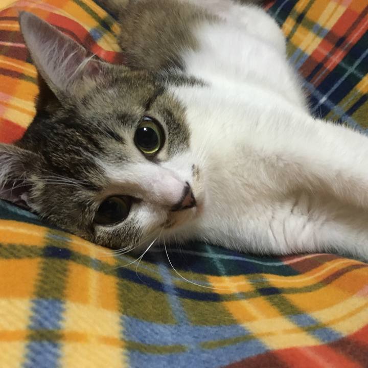 6825e3ad ccfb 4a23 a3b1 a63139d7e127