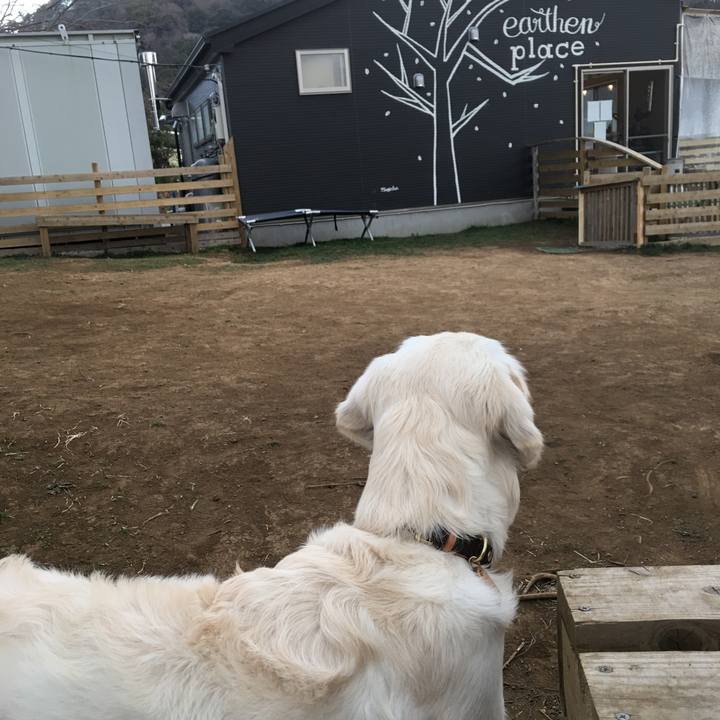 68265944 524d 446c b878 afdfc980990e