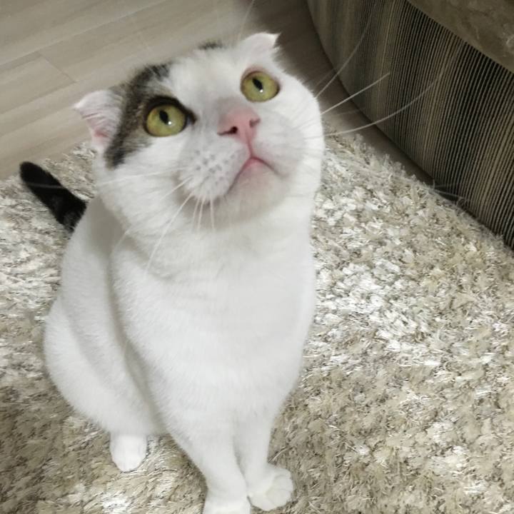 6826c33f d808 48a3 8b8e c227551e0b2c