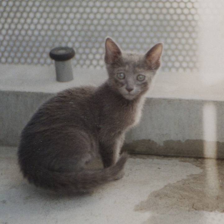 682785df 97d6 45b1 a73b 93cdb9176e2f