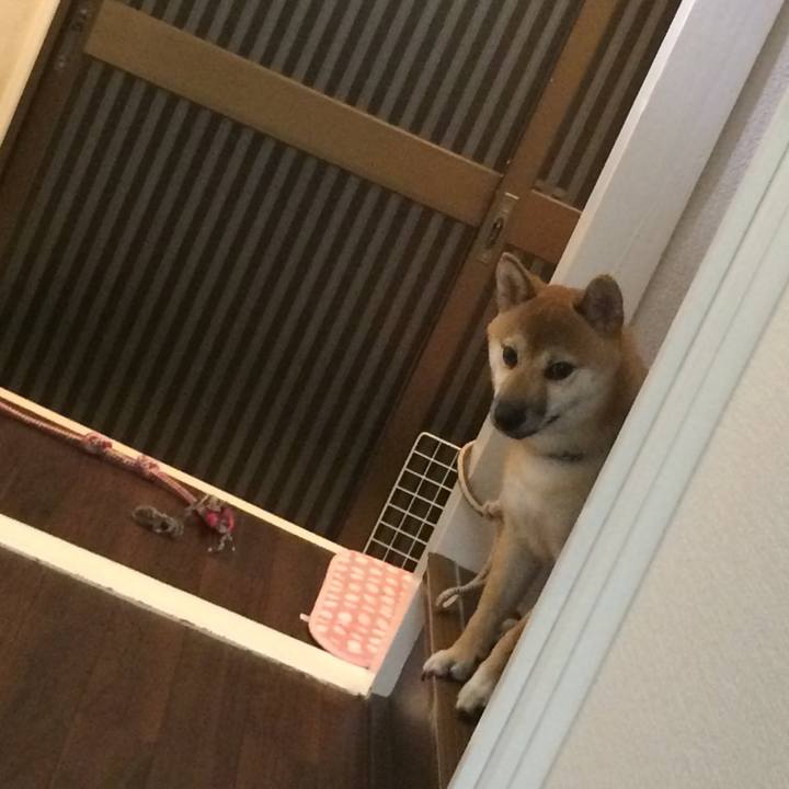 6827efaa 8607 4b84 a28c af50be510d87