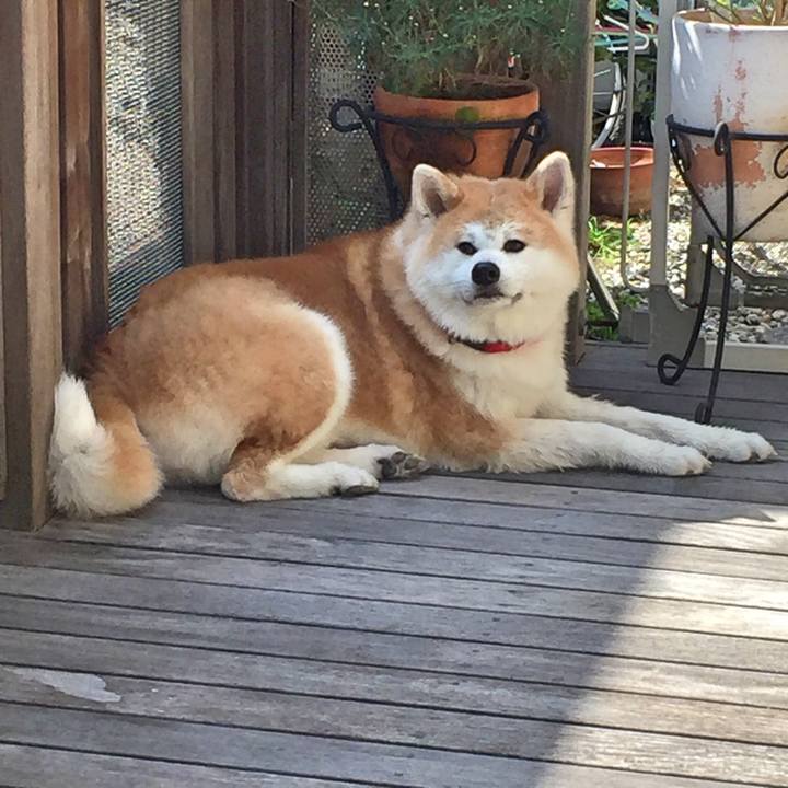 6827fa27 988e 4b91 bdd0 bd44e6687579