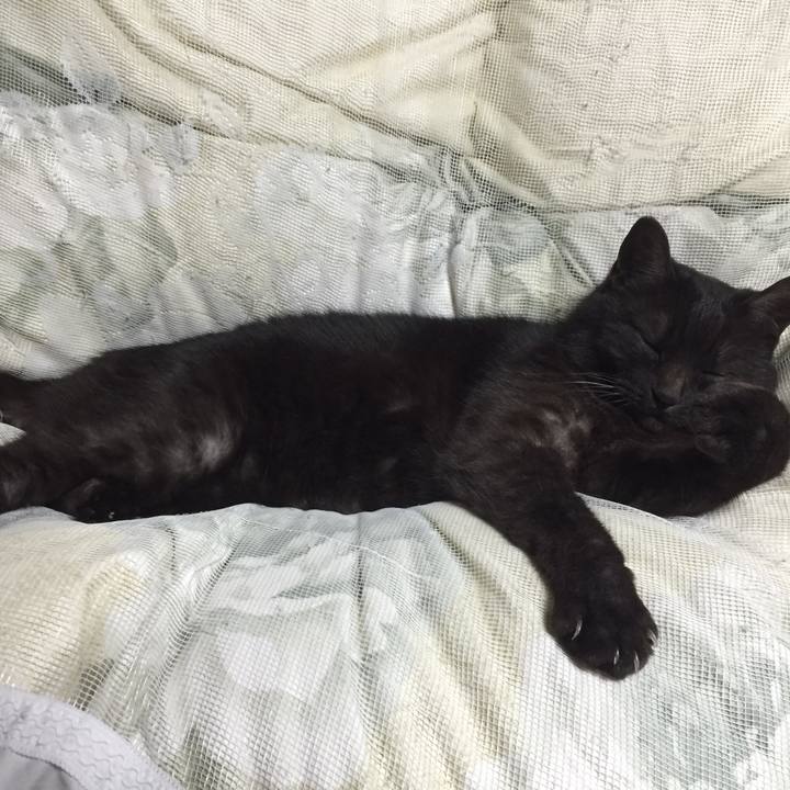 682835d3 292a 4b4f a0b8 4b1898f04cad