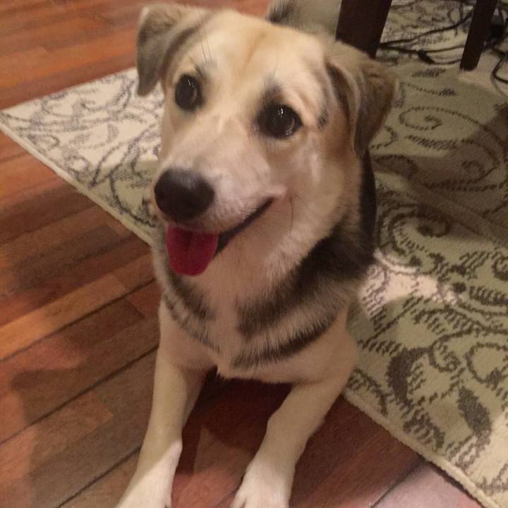 6828bc35 09b9 4e4e 9499 f26014a3dc2a