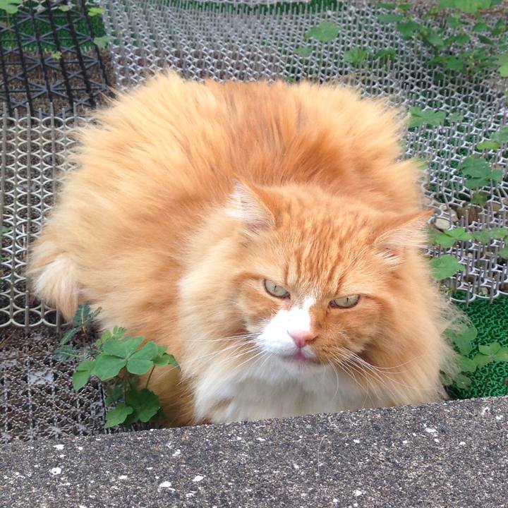 6828e14b 77a5 4ef5 a17a 0c125e22cc96