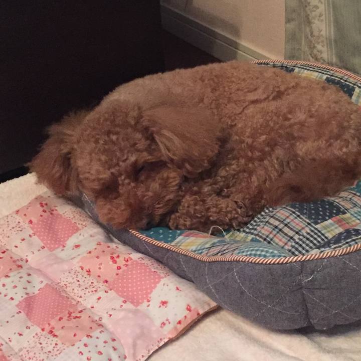 68293279 48f9 46a2 8e58 e97152400708