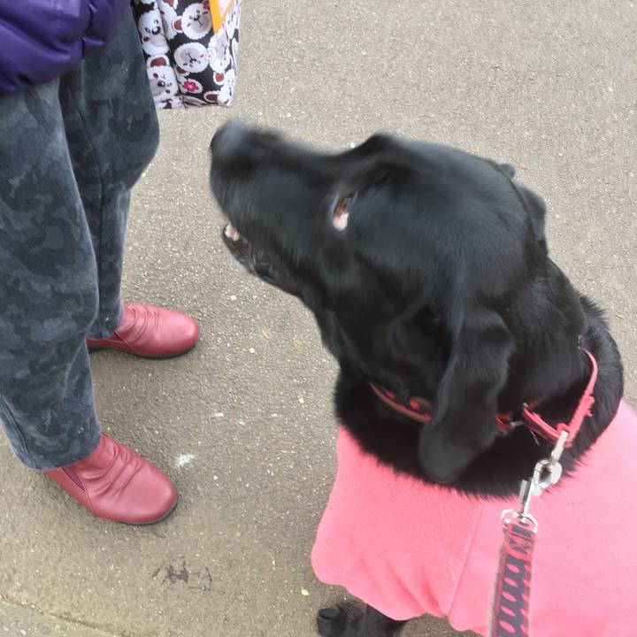 68293317 43df 4d49 a8e8 9a0a2a92921c