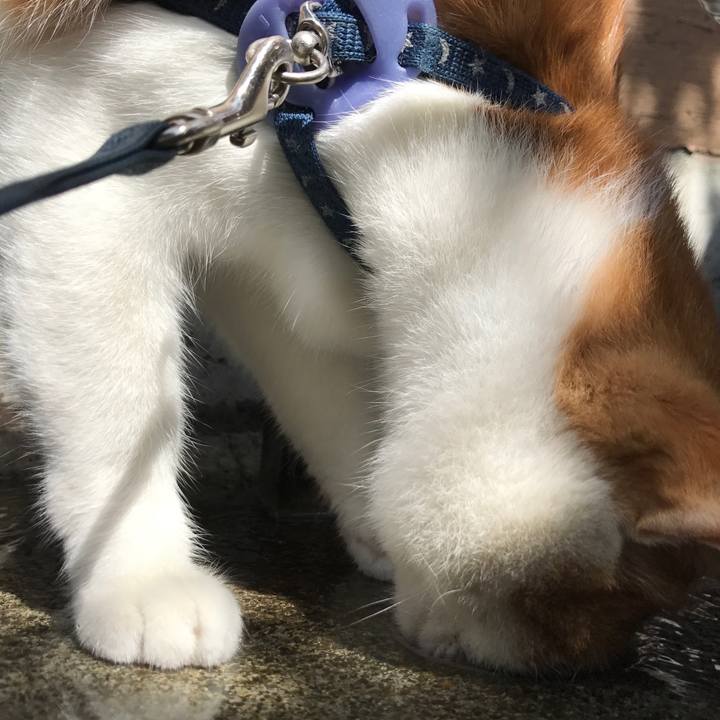 68296a57 25f9 412b 8465 58084dbcbe3e