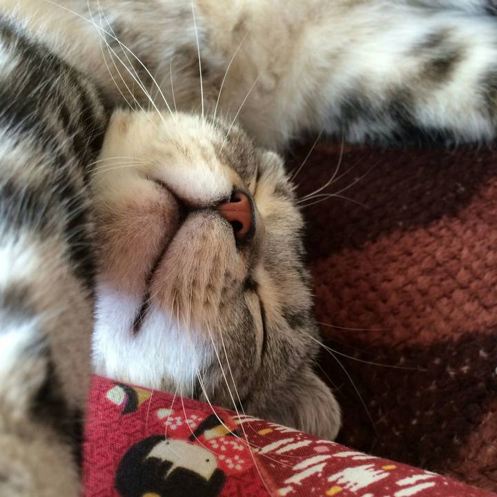 6829e1d6 2515 467e ad29 e202a8627b10