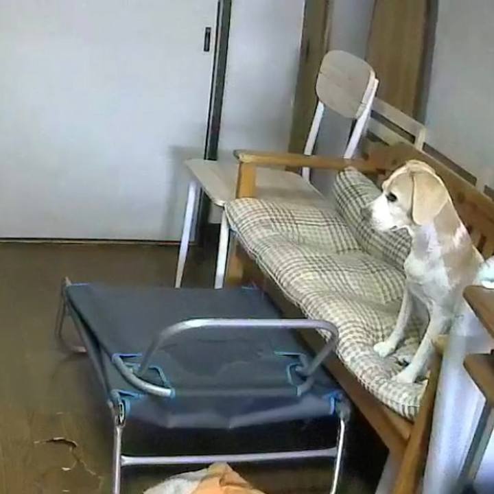 6829f9dc 77f6 4e86 b1bb 1e418bbde07f