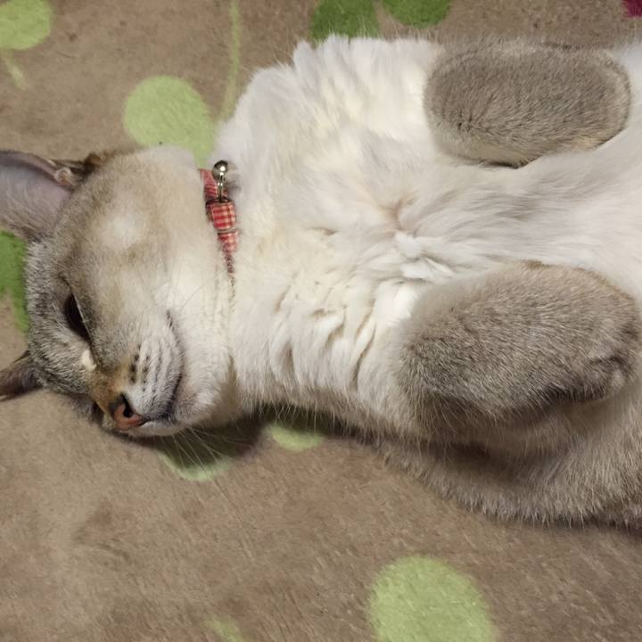 682ad82d 8ca1 4c69 9b5d ba38bb3ffb04