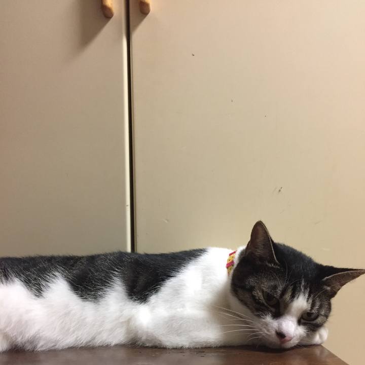 682b0816 2f3d 4c49 9e01 00a28e625d16