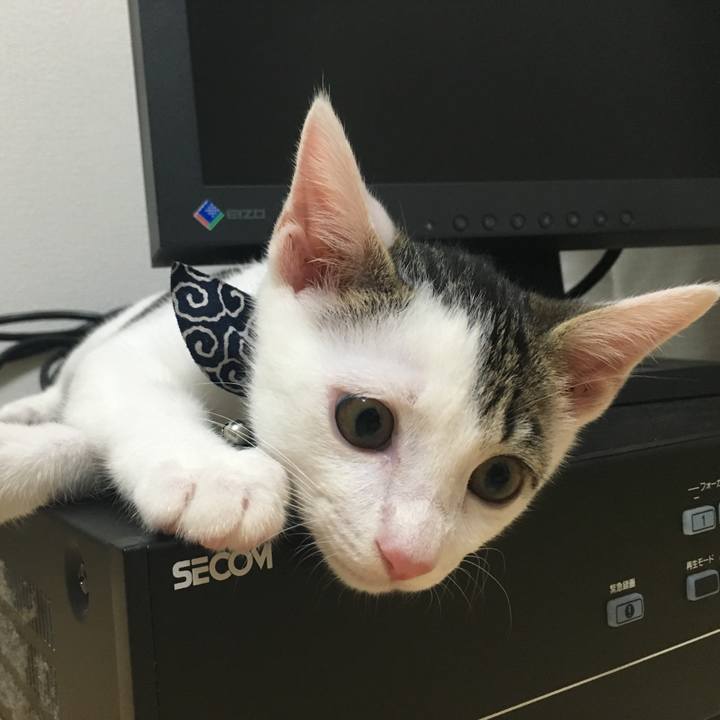 682b6f6e f8c0 4479 a6e3 ed6d642e666d