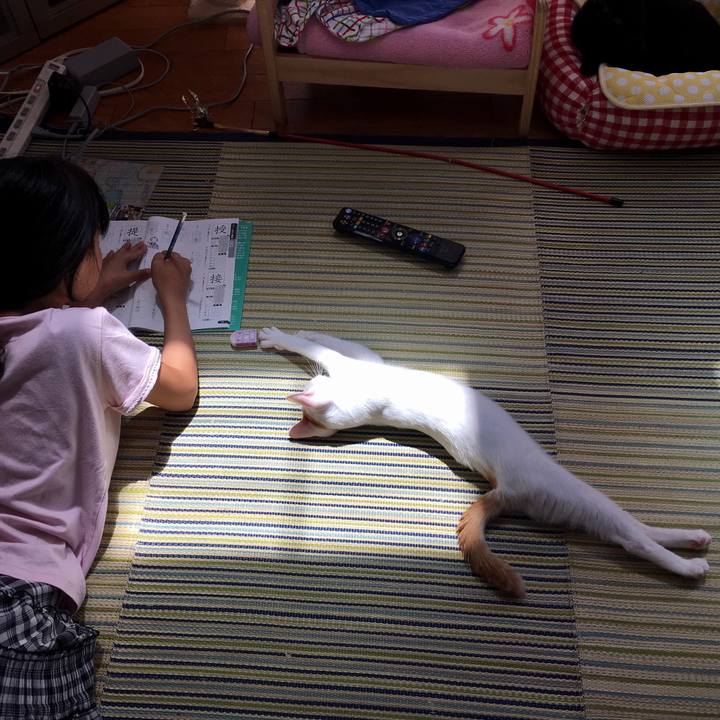 682bcbc7 20d5 486b a179 d3823134b10f