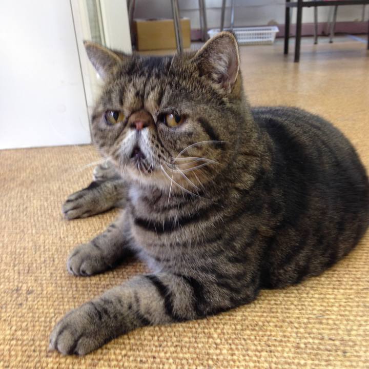 682c1854 21bd 4542 b9f4 eaa0cb967437