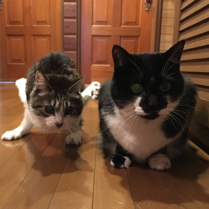 682cf7a0 3a64 47c4 914b 240efcbd7ad0