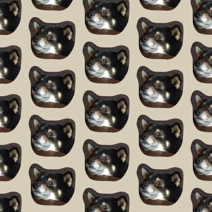 682d7d9d 5391 435b 96e9 e851d50a1f05