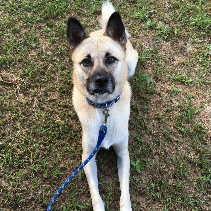 682d9770 0960 4ab3 9f46 e03e5f19484c