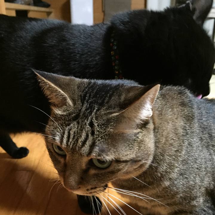 682da82e 24ea 4b2b 9395 f36f0d24591c