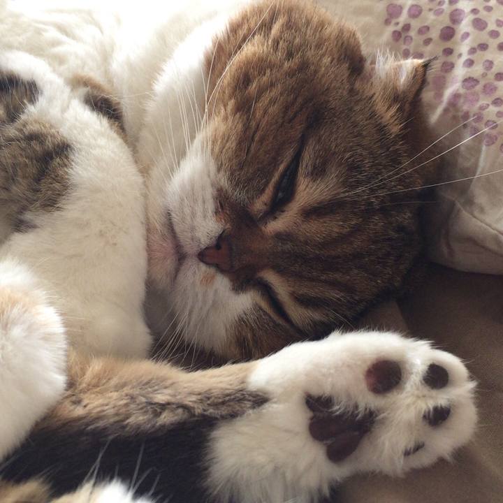 682e1f54 05ec 4f03 b4d7 5616548a7136