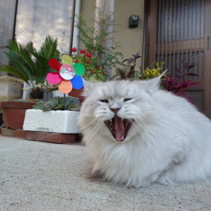 682e208c 7f9c 4be6 86b2 69bc5ff8775a