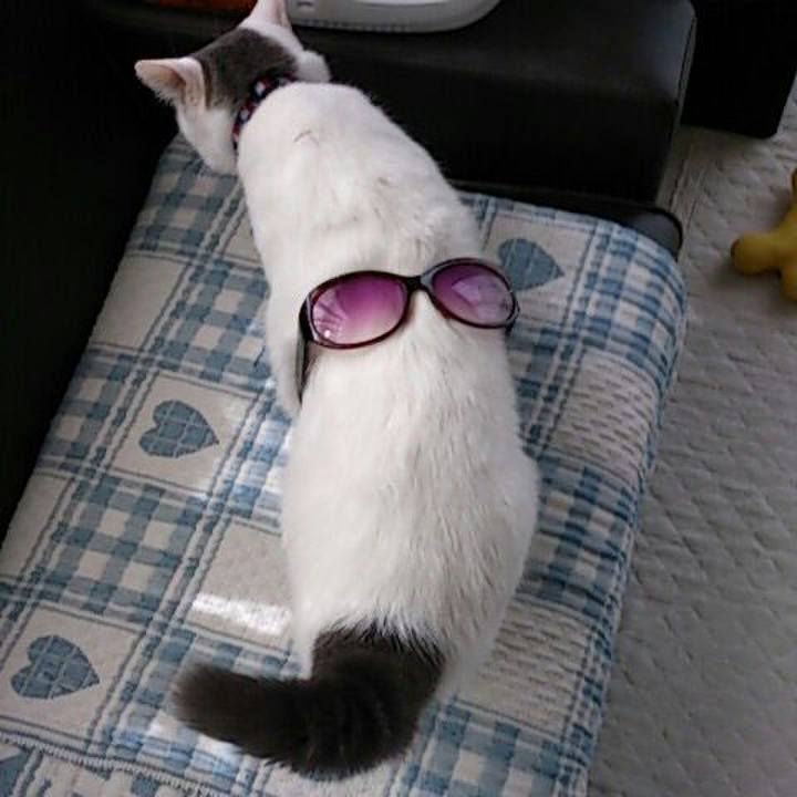 682e3153 ba08 4be6 8842 24903739d911