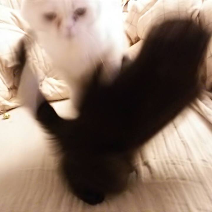 682eab37 16d3 4aef adf9 75a67dcb7dca