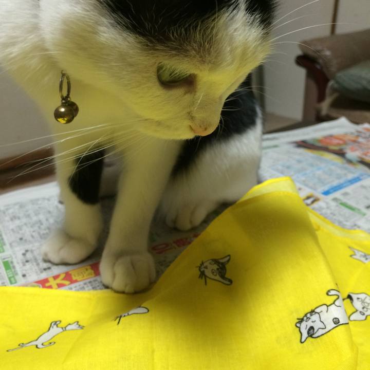 682ee74b f9cd 4ef7 be30 e50bda52ce9f