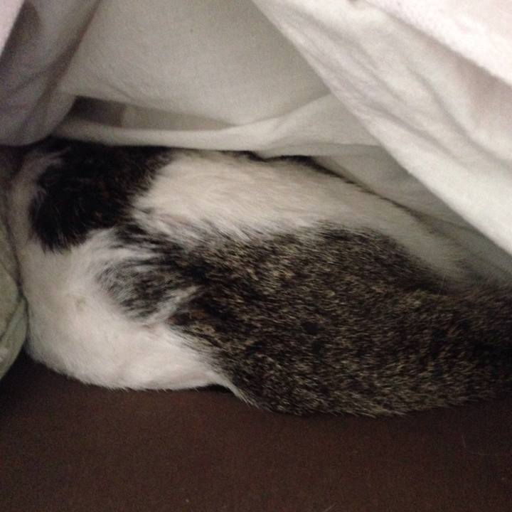 682efc0a a0c7 4df3 878b 0c8a8683fa48