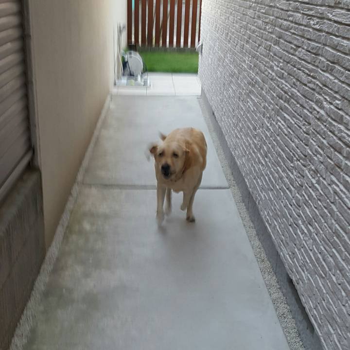 68327f49 2b6c 463a 84b2 6a181a8eba1b