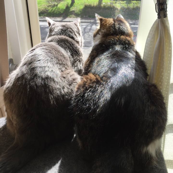 68329afe 814a 4a27 a42f 171ec5efbc70