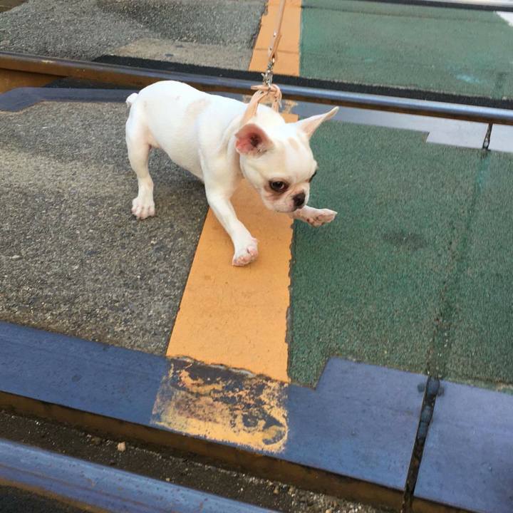 68331396 ede9 4b30 83a1 806a303ae2e7