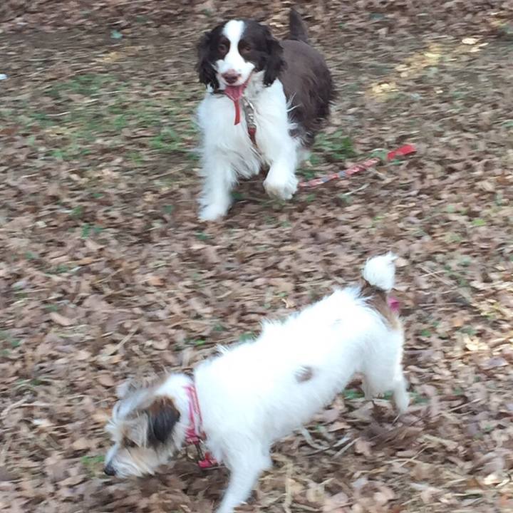 68335001 86fc 4ee8 a41b 52bac772c169