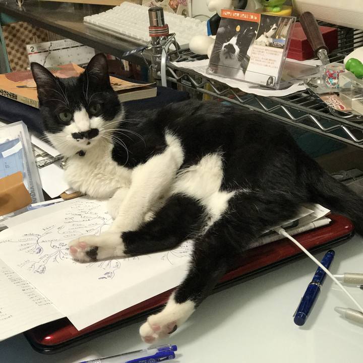 6833a714 d23e 4629 85e7 4e9645d7c53c